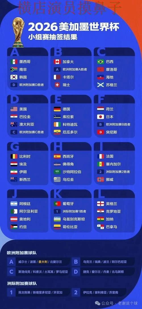 世界杯投注平台解析报告：玩法指南与实际体验总结 - FIFA World Cup 2026