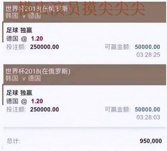 世界杯投注平台推荐访问方式怎么选?精选给你答案(世界杯官方信息) 世界杯投注平台推荐访问方式怎么选?精选给你答案(世界杯官方信息)